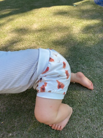 1b691fc9 bd23 4e3d a199 db87536f8aa0