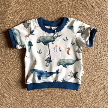 1db0a203 acce 44fd 908e ceacd3ad348d