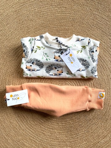 412c08e3 7485 4355 9487 4f0f64ab97fe