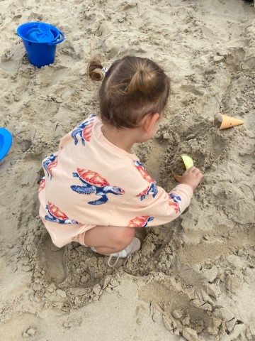 48b34c6a 4504 487e 9624 7399fd4bb01a