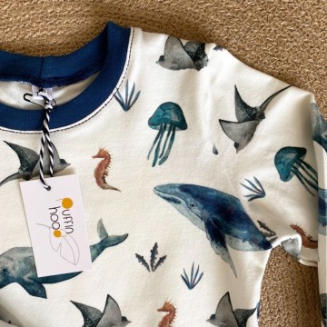 72d62431 d62c 4708 abaa b635cedf4137