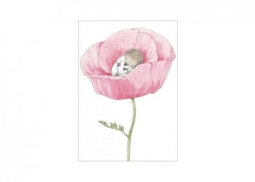 Ansichtkaart hjelm d231