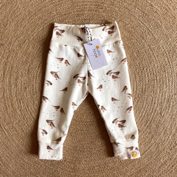 C43bedae f9a5 4164 b2ac b2d3e1d30b2a