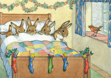 Five rabbits tucked up warm